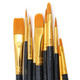 Professional Paint Brush Set
